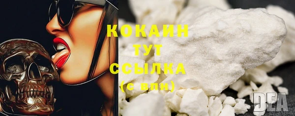сатива Вязьма