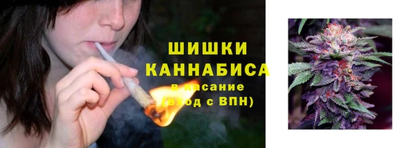 тгк Тайга