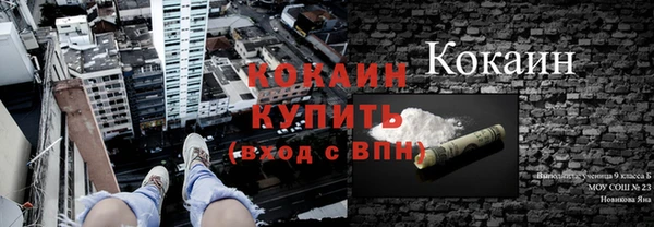 сатива Вязьма