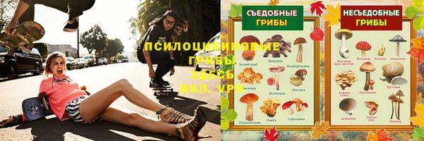 2c-b Сясьстрой