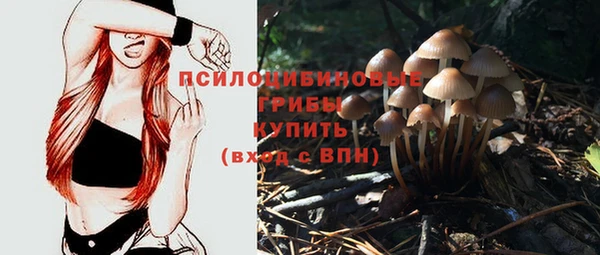 метамфетамин Вяземский