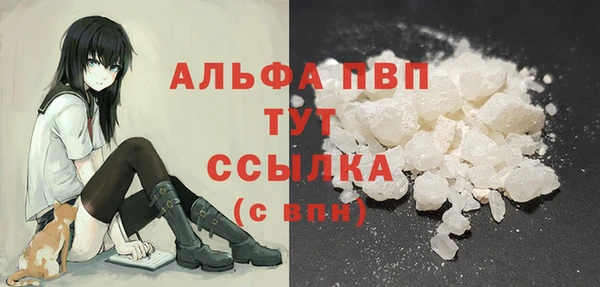 сатива Вязьма